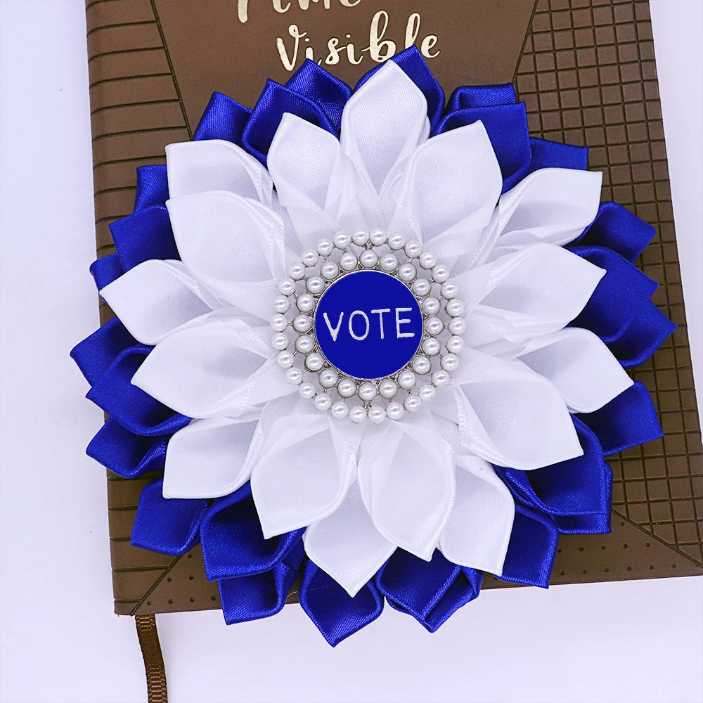 Zeta Phi Beta Vote Brooch