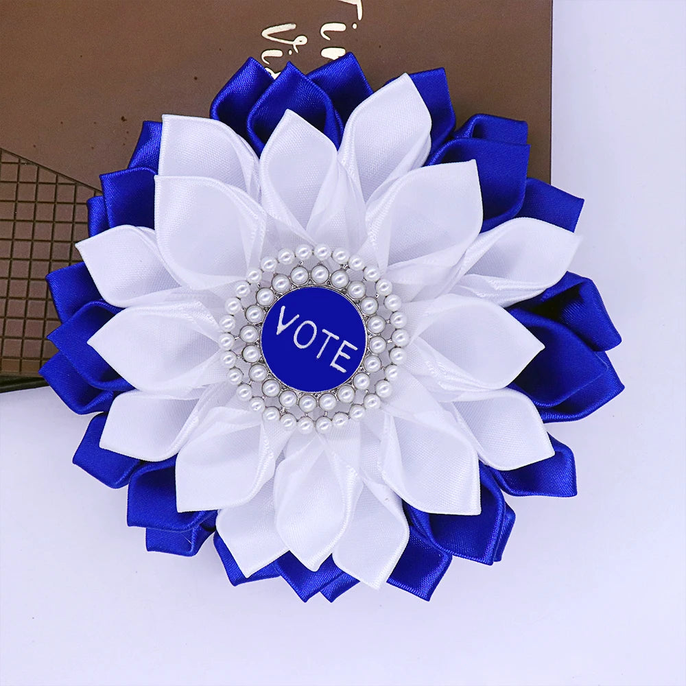 Zeta Phi Beta Vote Brooch