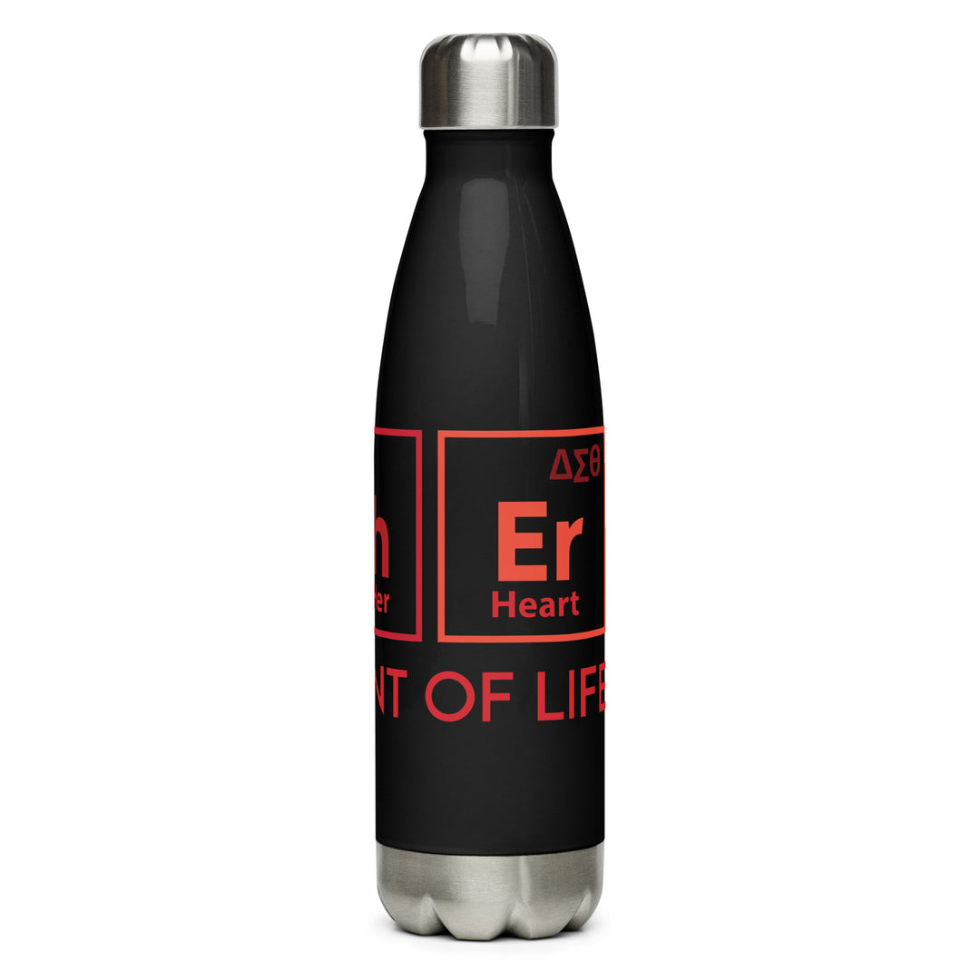 Delta Sigma Theta Stainless steel water bottle