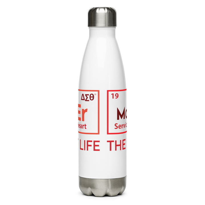 Delta Sigma Theta Stainless steel water bottle