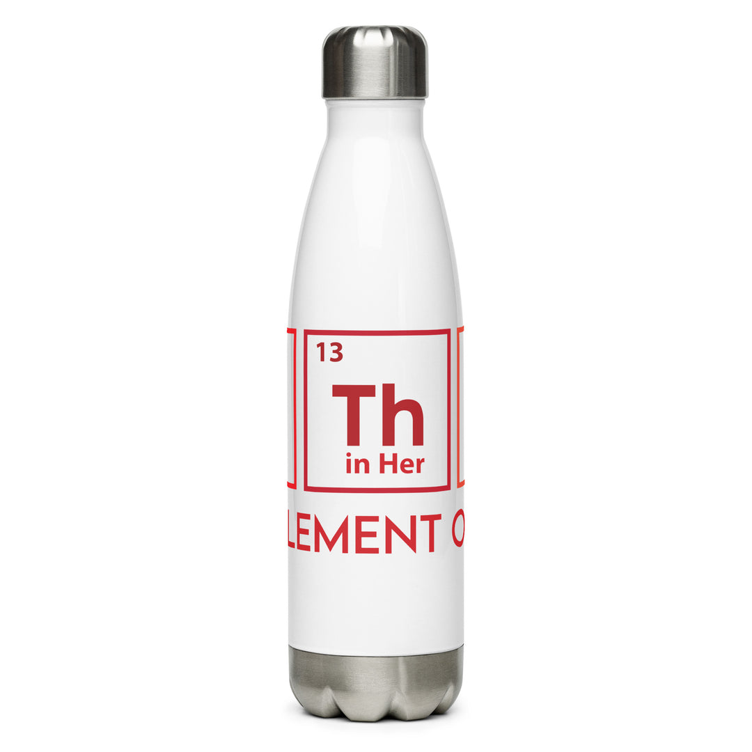 Delta Sigma Theta Stainless steel water bottle