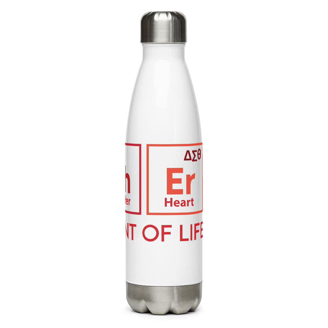 Delta Sigma Theta Stainless steel water bottle