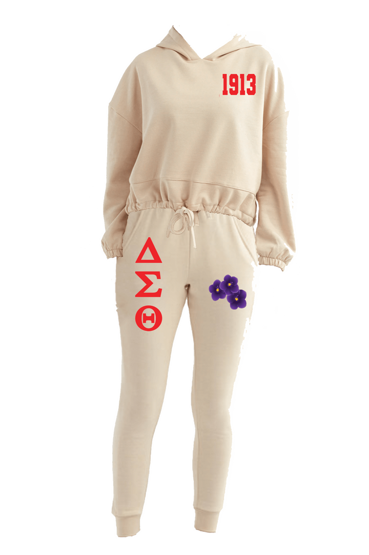 Delta Oversized Cropped Beige Hooded Sweatshirt