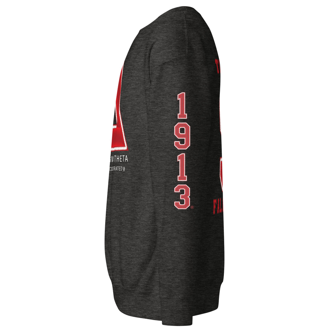 DST Varsity Sweatshirt (Direct to Garment Print)