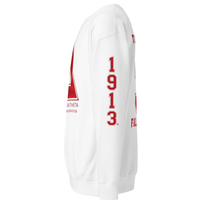 DST Varsity Sweatshirt (Red Direct to Garment Print)